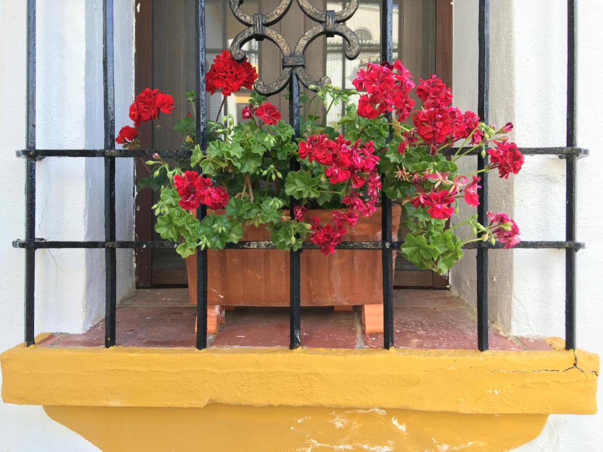 La Escondida Ronda, B&B エクステリア 写真