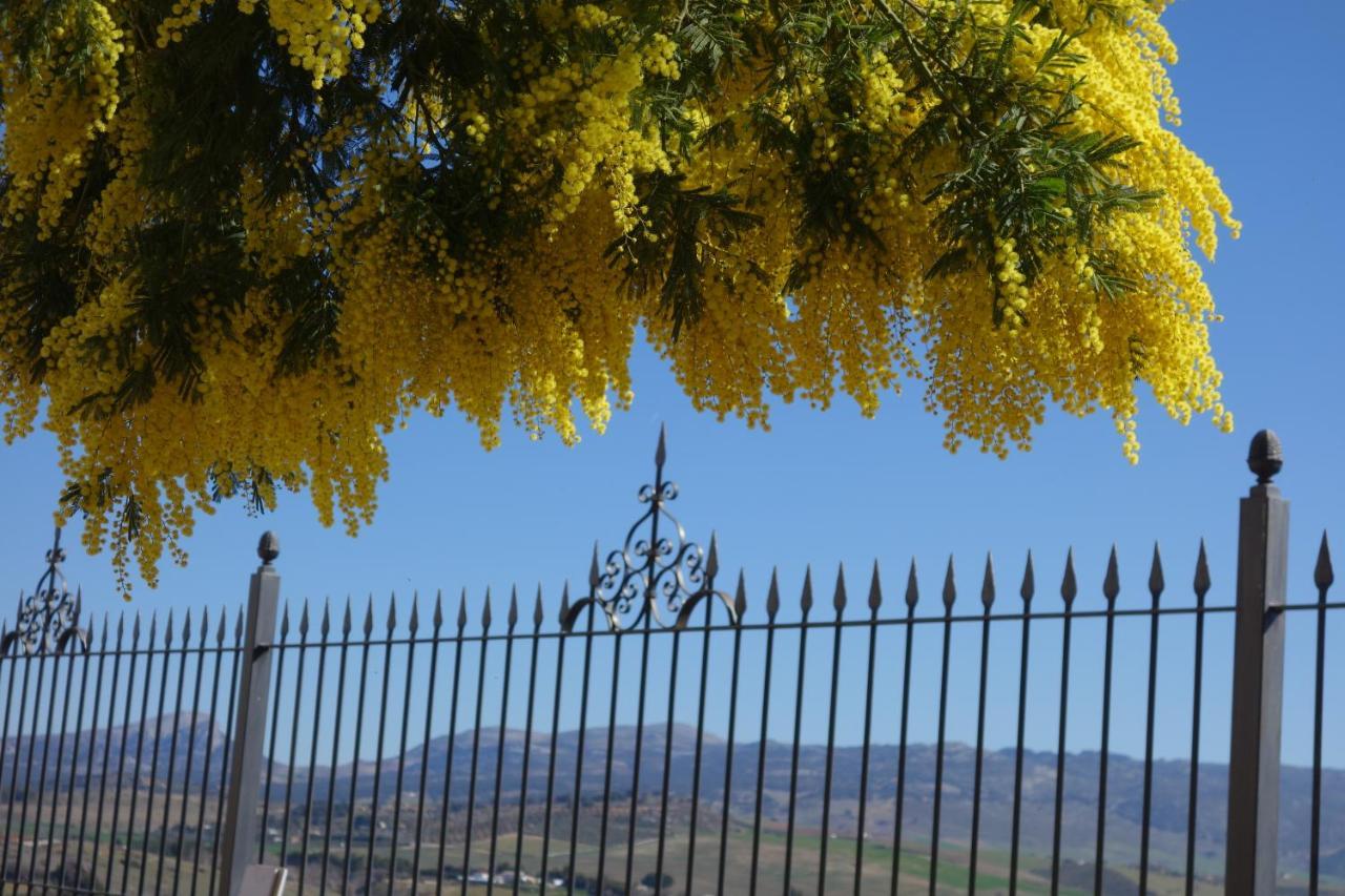 La Escondida Ronda, B&B エクステリア 写真